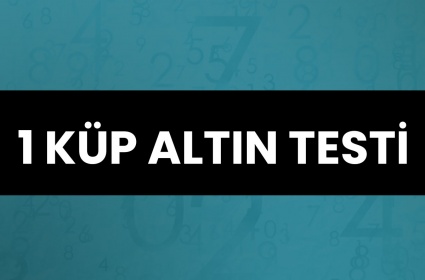 Dedektör 1 Küp Altın Testi