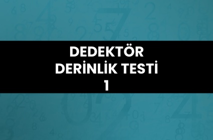 Dedektör Derinlik Testi 1